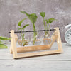 Glass Wood Planter Vase - Voila Finest