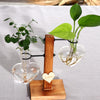 Glass Wood Planter Vase - Voila Finest