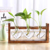 Glass Wood Planter Vase - Voila Finest