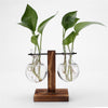 Glass Wood Planter Vase - Voila Finest