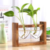 Glass Wood Planter Vase - Voila Finest