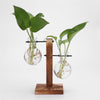 Glass Wood Planter Vase - Voila Finest