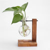 Glass Wood Planter Vase - Voila Finest