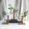 Glass Wood Planter Vase - Voila Finest