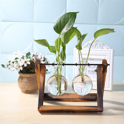 Glass Wood Planter Vase - Voila Finest