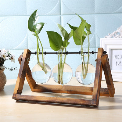 Glass Wood Planter Vase - Voila Finest