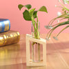 Glass Wood Planter Vase - Voila Finest