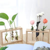 Glass Wood Planter Vase - Voila Finest