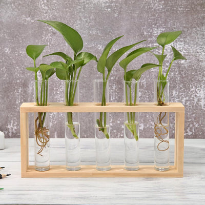 Glass Wood Planter Vase - Voila Finest