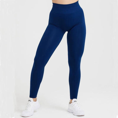 Seamless Gym Leggings - Voila Finest