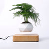 Levitating Air Bonsai Pot - Voila Finest