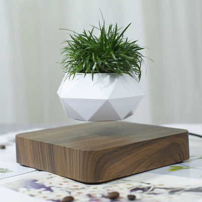 Levitating Air Bonsai Pot - Voila Finest