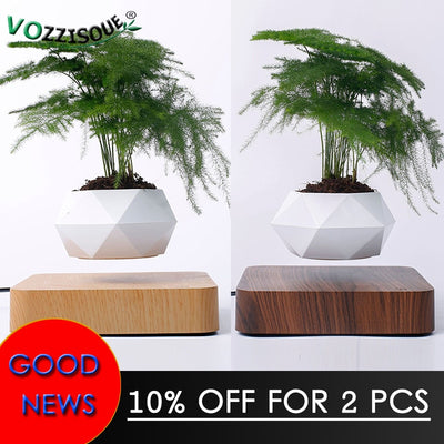 Levitating Air Bonsai Pot - Voila Finest